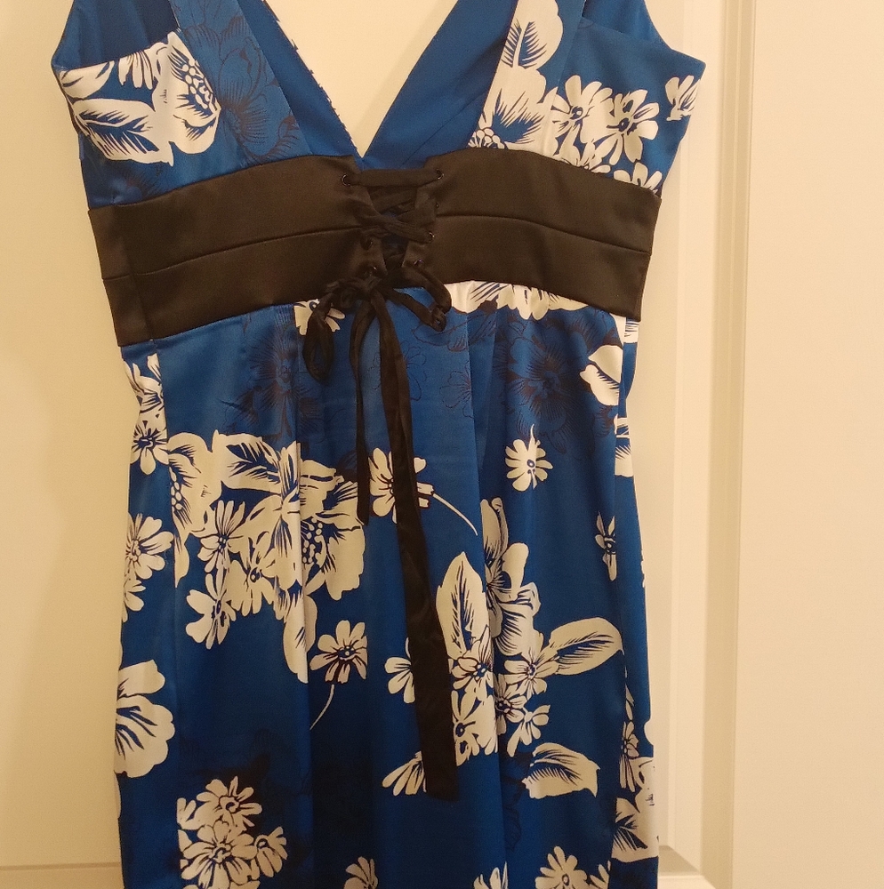 Donna ricco blue floral corset back dress